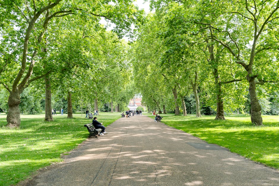 A scenic park pathway lined with tall, leafy green trees on both sides, providing partial shade with their dense foliage. The gravel path is wide and well-maintained, with several black metal benches along its edges, some occupied by individuals sitting and relaxing. The surrounding lawn is lush and vibrant, with evenly trimmed grass, and a few people can be seen strolling or sitting in the distance. Soft sunlight filters through the canopy, creating dappled light and shadow patterns on the ground. The scene exudes a peaceful, clean, and well-kept outdoor space, ideal for leisure and casual walks, captured in bright, natural daylight.